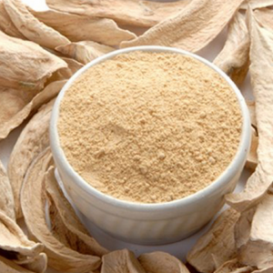 Amchoor Powder - 250 gms